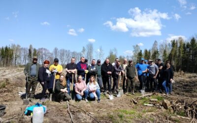 Niepełnosprawni i wolontariusze sadzili las