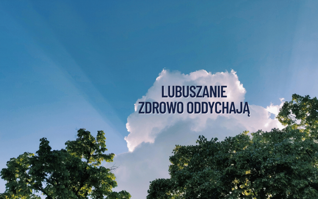 Zostań ambasadorem czystego powietrza