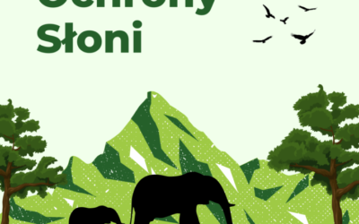 Dzień Ochrony Słoni – dlaczego musimy chronić te niezwykłe zwierzęta?