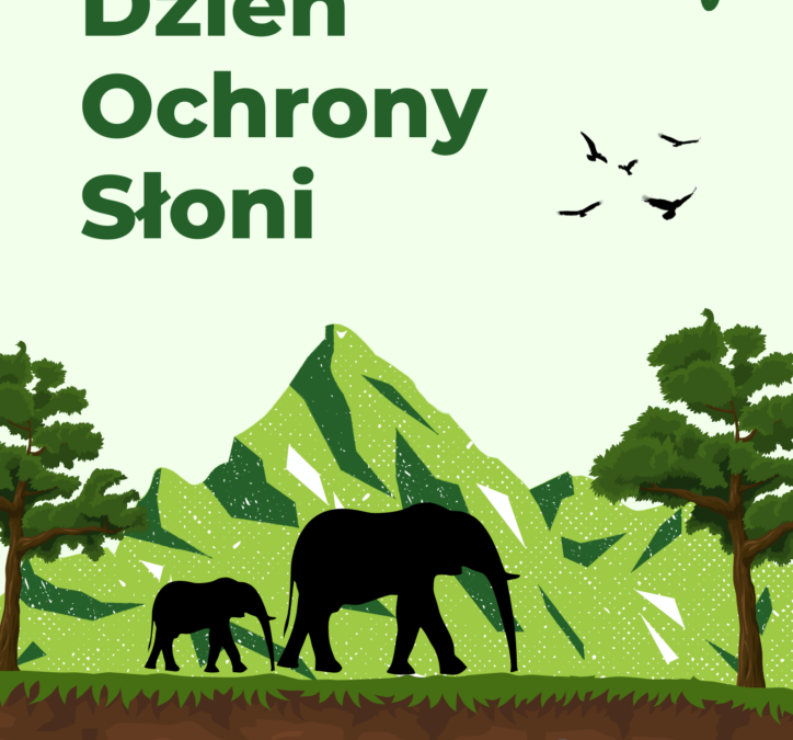 Dzień Ochrony Słoni – dlaczego musimy chronić te niezwykłe zwierzęta?